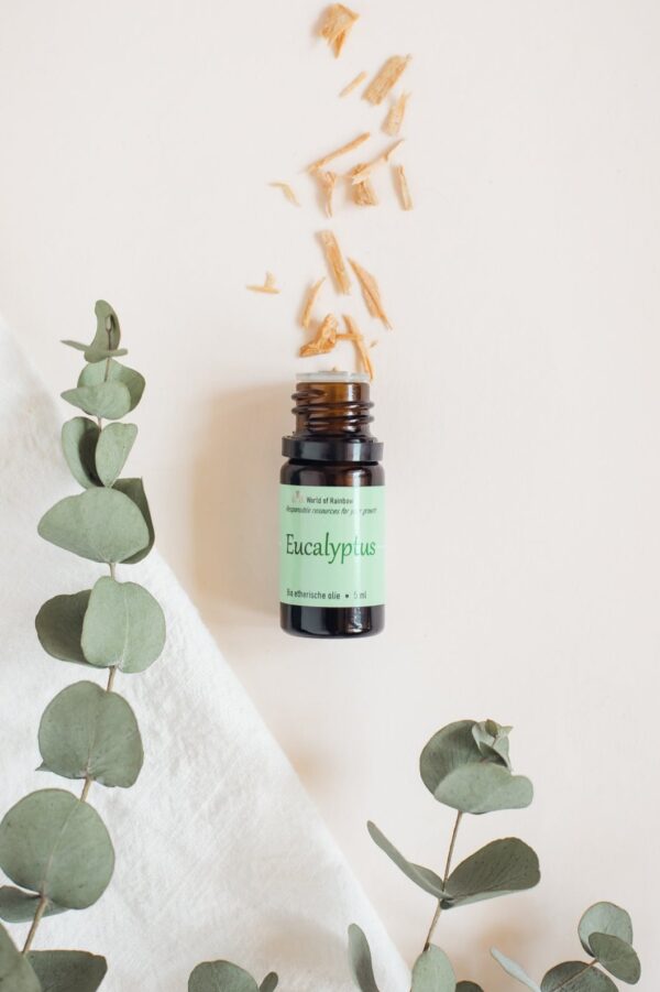Eucalyptus essentiële olie