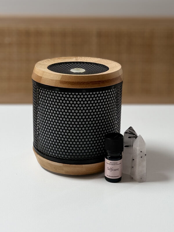alida diffuser1